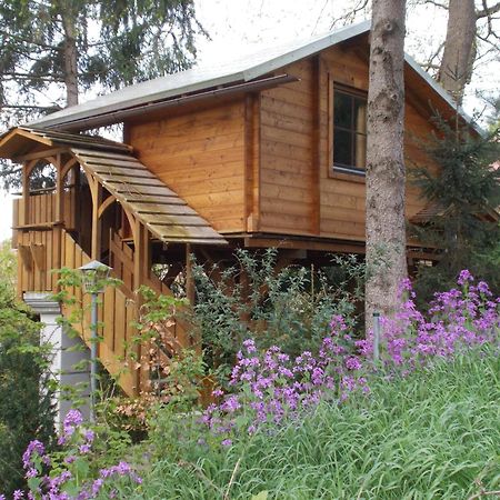 Baumhaus Wolfshoehle Fischach Zewnętrze zdjęcie